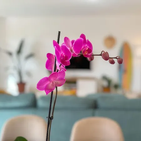 ヴィラ Tarabilla With Private Pool & Ocean Views
