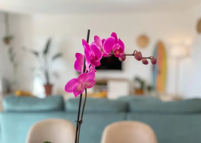 Villa Tarabilla With Private Pool & Ocean Views